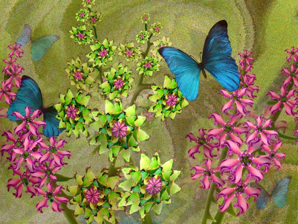 Creation of Butterfly Heaven: Step 13